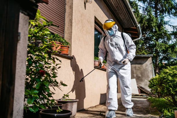 Best Cockroach Control Services  in Peach Lake, NY