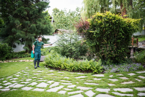 Best Best Pest Control Companies  in Peach Lake, NY