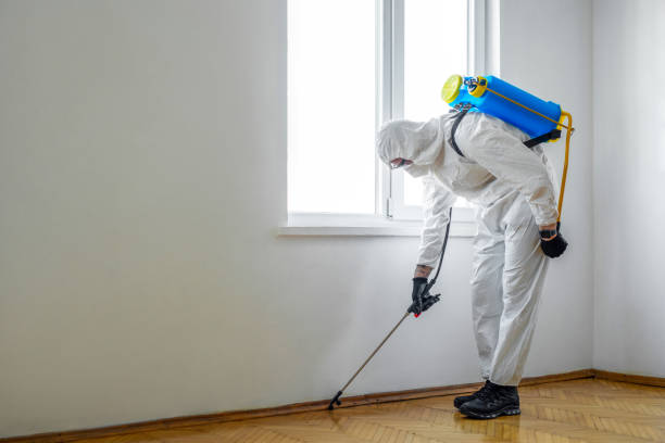Best Mosquito Control Services  in Peach Lake, NY