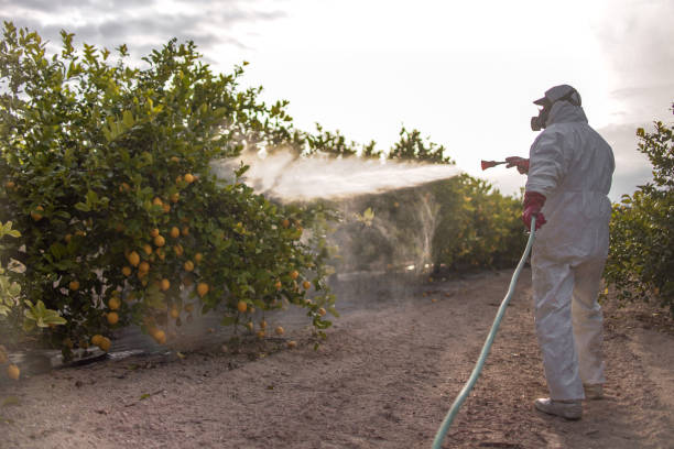 Best Pest Control Near Me  in Peach Lake, NY
