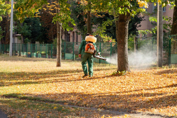 Pest Prevention Services in Peach Lake, NY