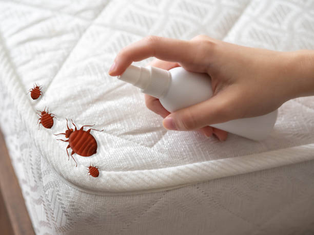 Best Mosquito Control Services  in Peach Lake, NY