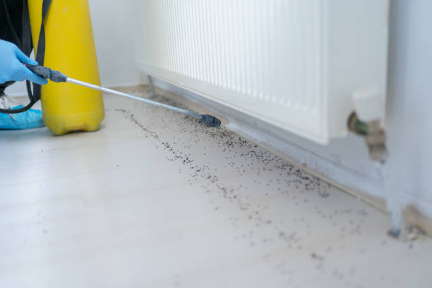 Best Commercial Pest Control Services  in Peach Lake, NY