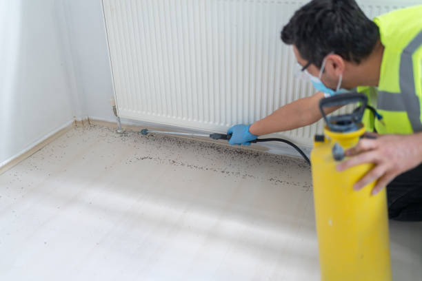 Reliable Peach Lake, NY Pest Control Solutions